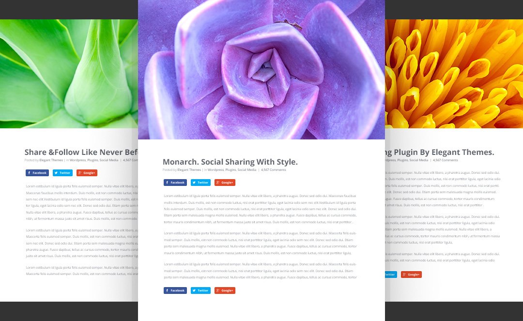 Ejemplos de opciones inline botones redes sociales - Monarch WordPress