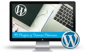 Curso WordPress Intermedio - Instalacion y actualizacion de plugins y themes premium