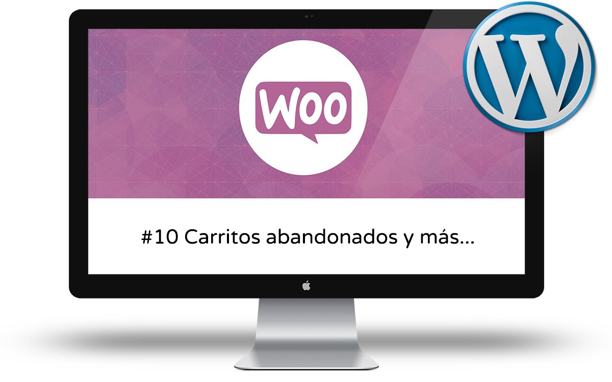 Curso de Woocommerce Intermedio - Carritos abandonados y mas